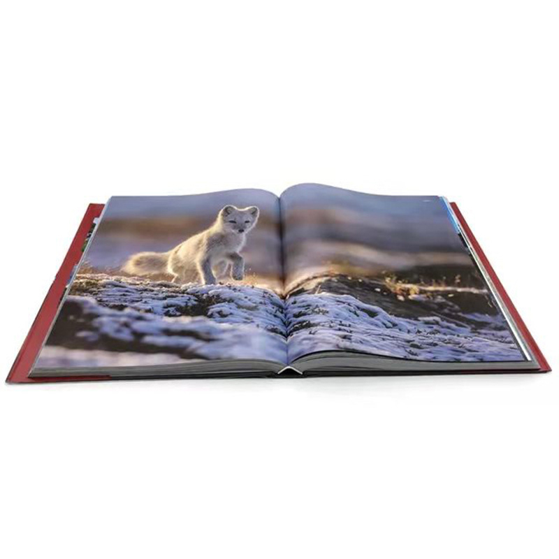 Дешева високоякісна книга з друкованою дошкою з твердою обкладинкою, надрукована в Китаї